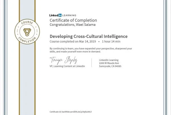 Developing-Cross-Cultural-Intelligence-.jpg